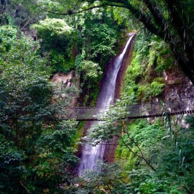 waterfall jungle tour